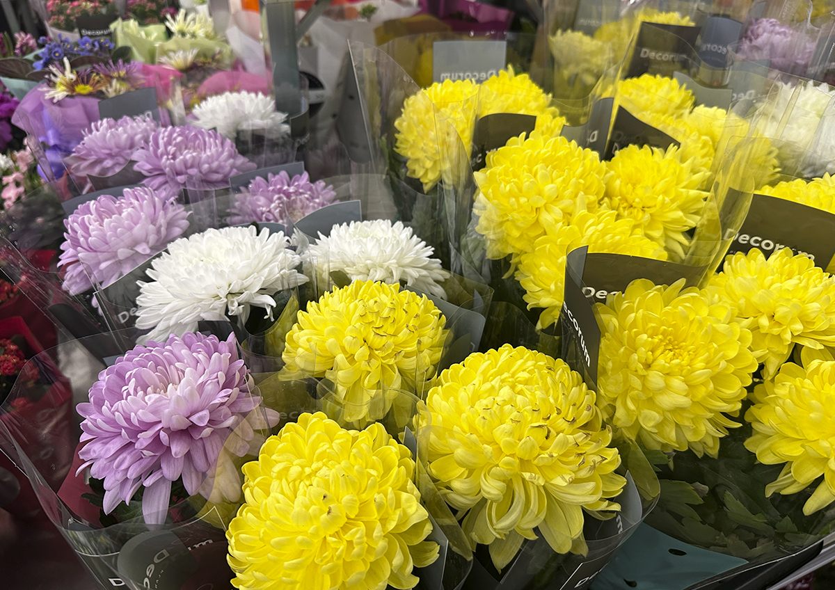 Россиянам рассказали, на что обращать внимание при покупке живых цветов