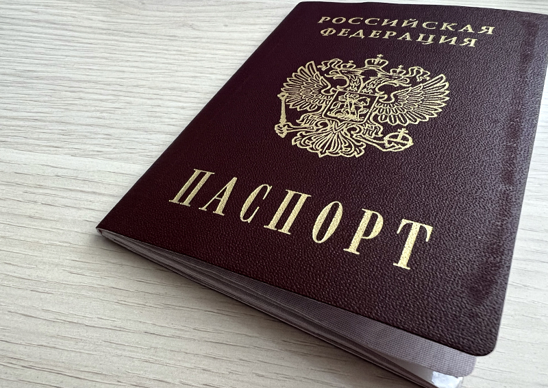 Получить гражданство России можно будет за 3 месяца