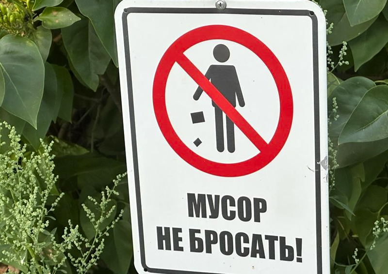 Юрист Крюков рассказал, что грозит курьерам, выбросившим строительный мусор около жилого дома в Серпухове