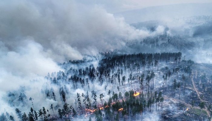 СПЧ: основная причина лесных пожаров в Иркутской области — передача региону федеральных полномочий без достаточного финансирования