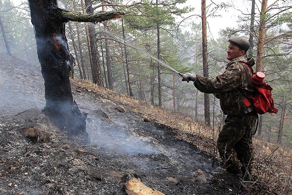 Все майские праздники Иркутская область горела, а региональные власти бездействовали 	