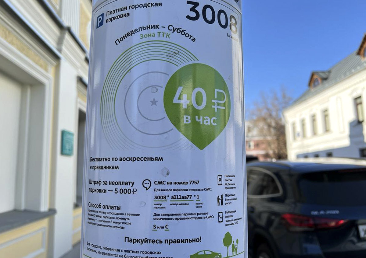 Многодетные семьи могут наделить правом бесплатной парковки во всех регионах РФ