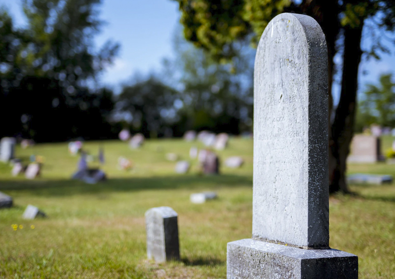 Что такое почётные захоронения и, кто имеет право получить на кладбищах Подмосковья там место