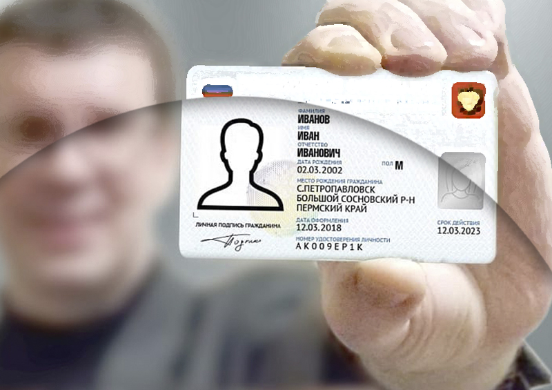 Лицам без гражданства в России выдадут пластиковые карты с чипом