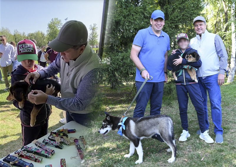 Ильсур Метшин заявил о намерении сделать Казань городом без бездомных животных