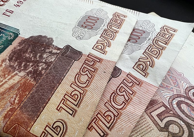 В Мордовии пожилой нотариус перевела 200 тыс. рублей мошенникам, предлагавшим спасти ее счета от потери денег