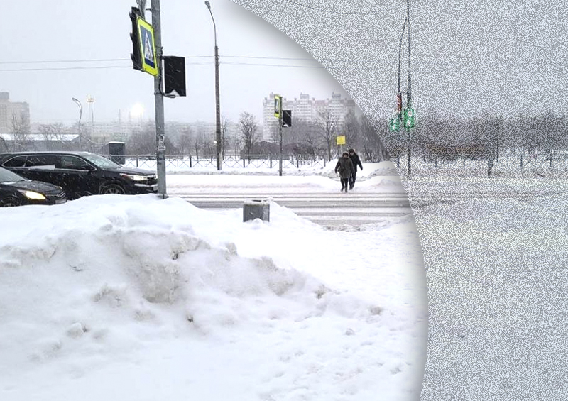 Петербуржцы требуют от властей заняться уборкой снега