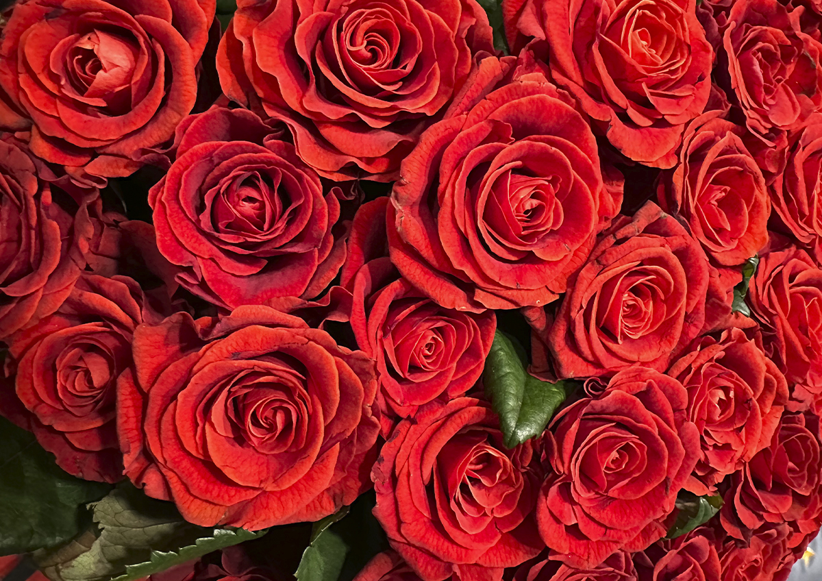 В Пензе покупатель смог выиграть иск о компенсации за увядание 101 розы