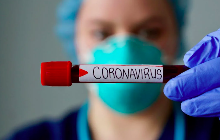 Московские власти опровергли сообщения об изоляции граждан с антителами к коронавирусу