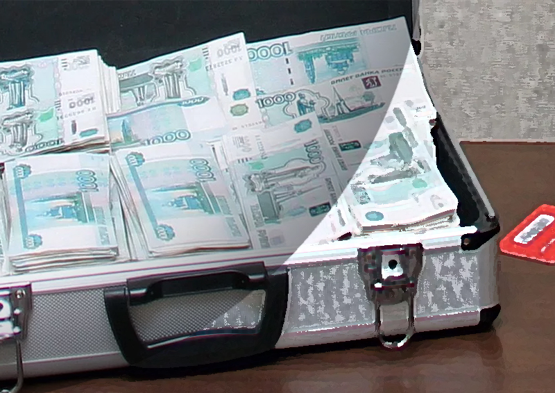 В Биробиджане полиция вернула рассеянному гражданину чемодан с 15 млн рублей