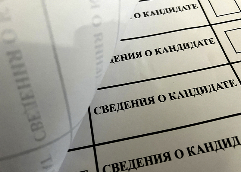 Член СПЧ Брод оценил организацию выборов в Нижегородской области