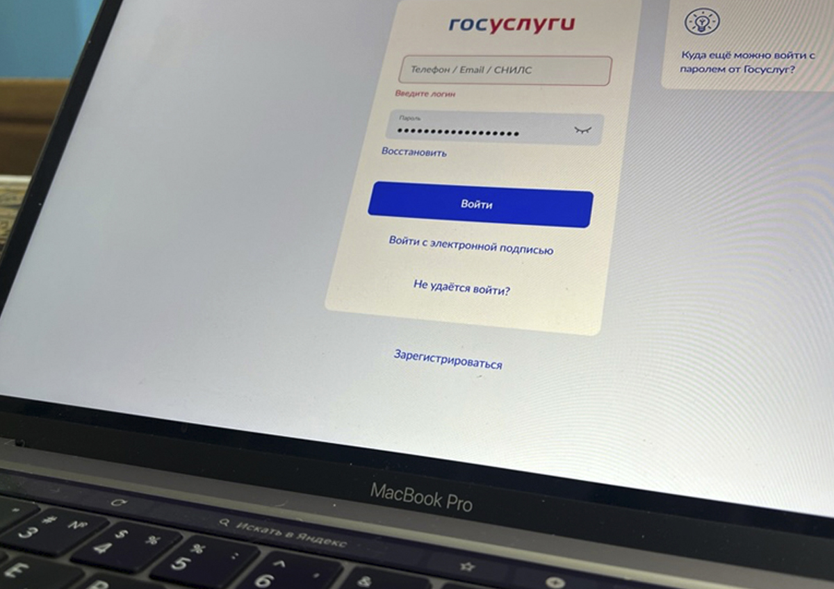 На портале госуслуг запустили сервис защиты от кибермошенничеств