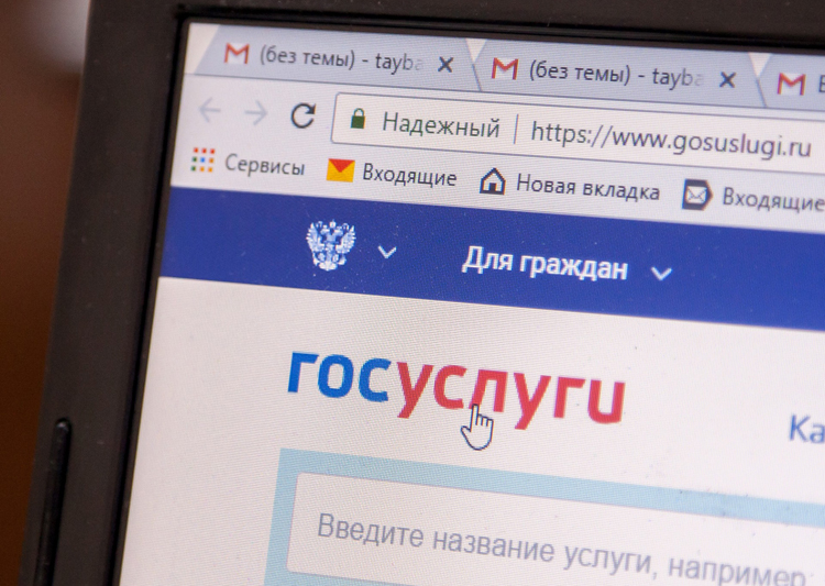 Жителя Санкт-Петербурга оштрафовали за неразмещение теста на коронавирус на портале госуслуг